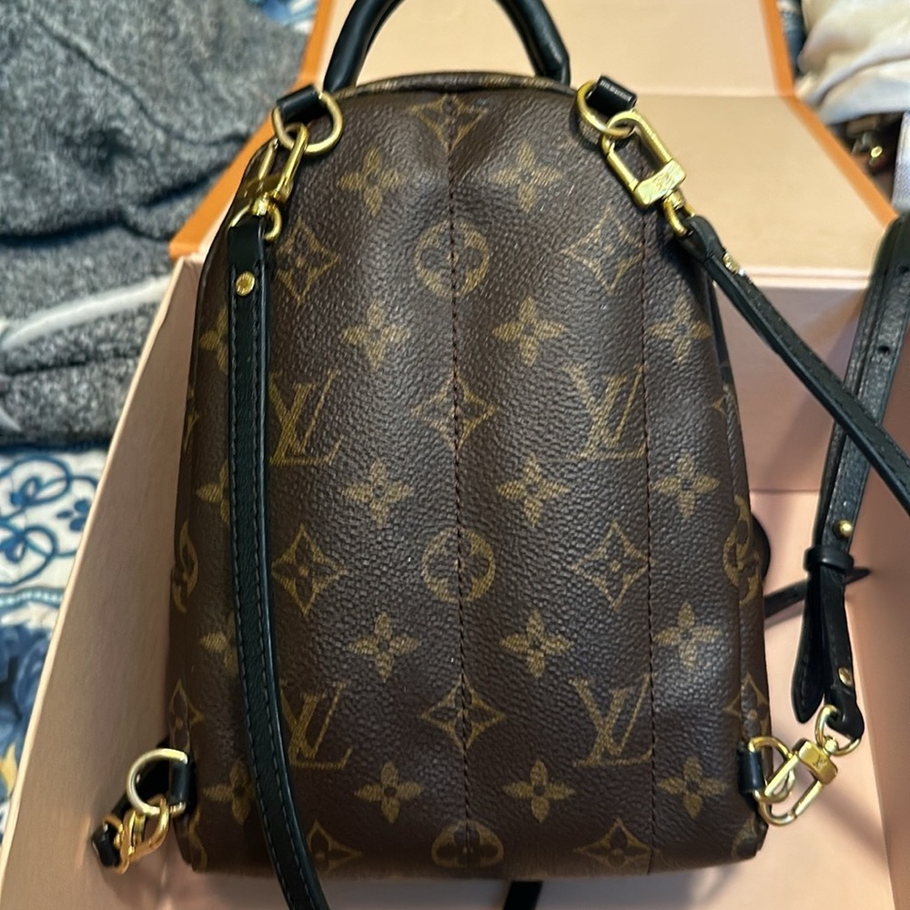 Louis Vuitton Palm Springs Mini - Picture 2 of 10